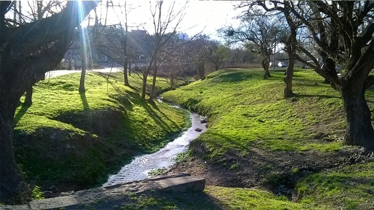 Sus senderos son ideales para recorrer en verano. Foto: Turismo Estancia Vieja